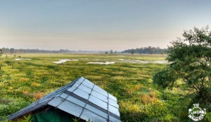 Majuli-Northeast Road Trip - The Punjabi Wanderer