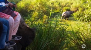 Watching a Rhino from our elephant-Northeast Road Trip - The Punjabi Wanderer