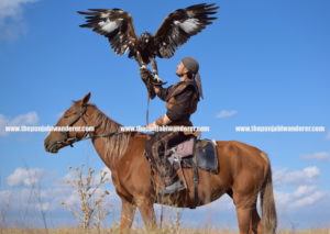 Eagle Hunter - Travel to Kazakhstan - The Punjabi Wanderer